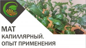 Капиллярный мат  Опыт применения