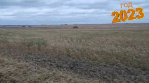 культиватор или плуг🤔??? Эксперимент длиною в год.