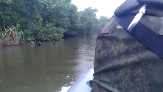 На острова.mp4 смотреть онлайн