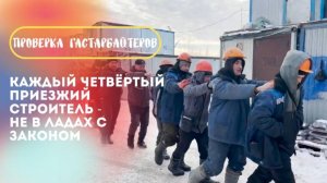 Рейд по мигрантам показал, что каждый четвертый приезжий "человек в каске" нарушает закон