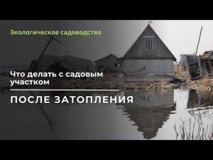 Затопление садового участка - как восстановить почву