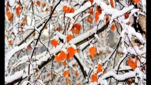 И  Никитин  Встреча зимы  Отрывок #стихиозиме #поэты19века