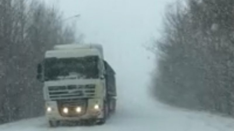 АРТУР- ПАДАЛ БЕЛЫЙ СНЕГ.