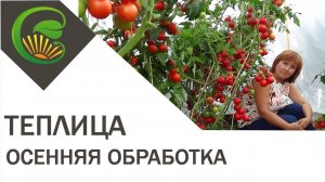 Теплица  Осенняя обработка