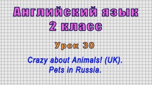 Английский язык 2 класс (Урок№30 - Crazy about Animals! (UK). Pets in Russia.)