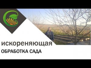 Искореняющая обработка сада