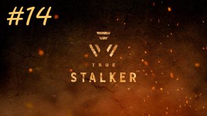 [PC] True Stalker | Прохождение | #14