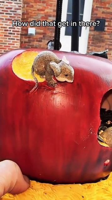 Wait for it 😅 смотреть онлайн