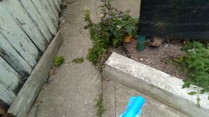 ОБЗОР НА ОДНОЗАРЯДНЫЙ ПИСТОЛЕТ
