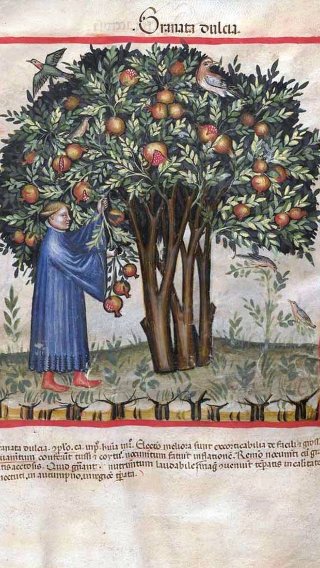 Возможности звукотерапии. Прямой эфир с Зилей Файзулиной