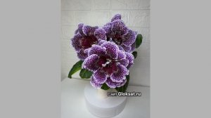 САТ- Валькирия 🌟🌟🌟