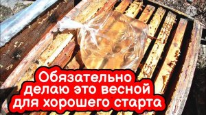 Обязательно делаю это весной для хорошего старта пчелосемей!