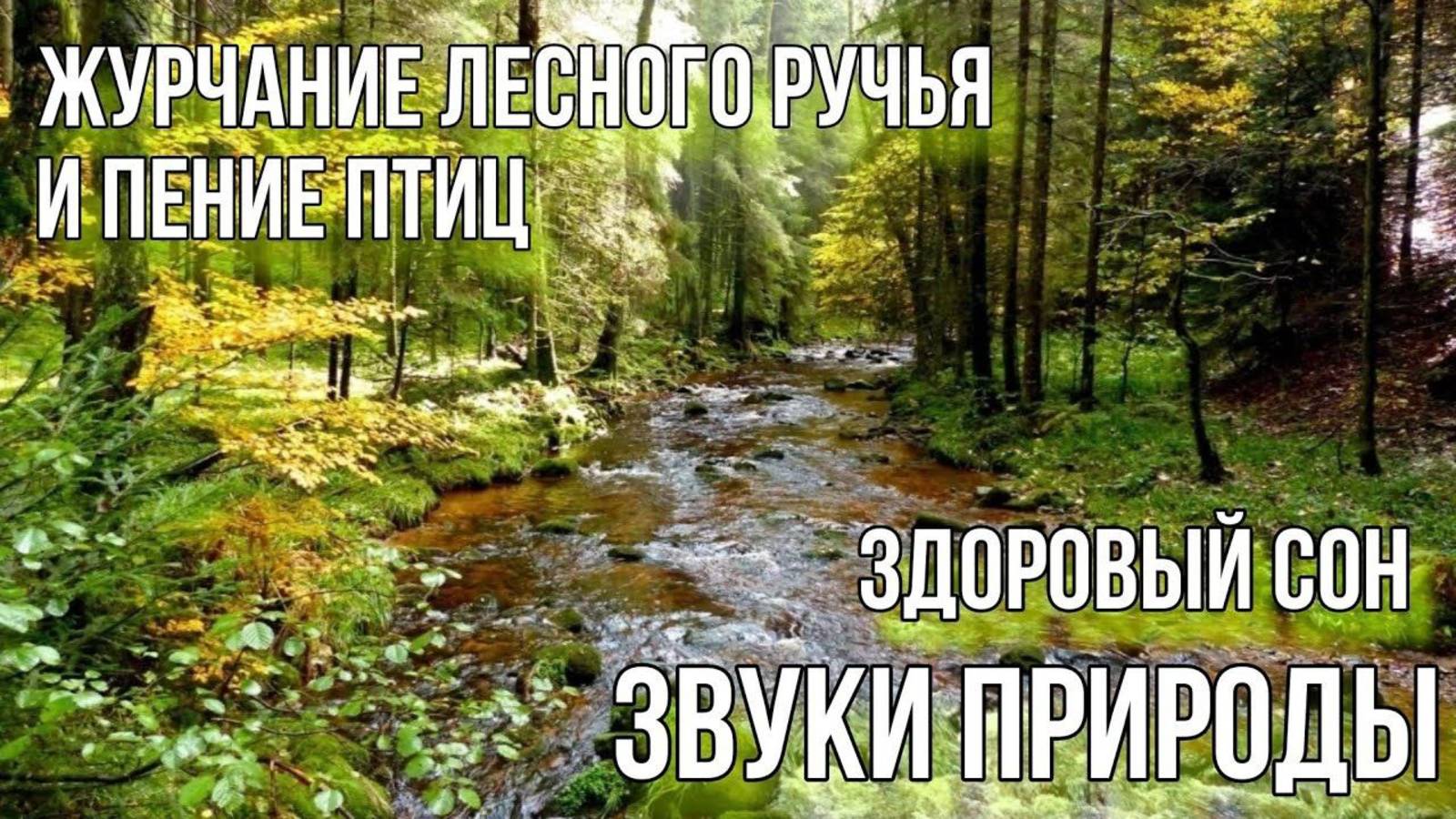 Звуки природы, журчание воды и пение птиц, расслабление и гармонизация, здоровый сон.