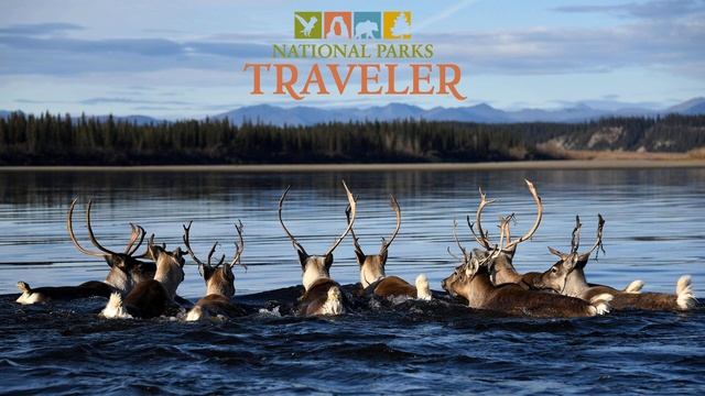 National Parks Traveler Podcast | Wildlife Migratory Corridors смотреть онлайн