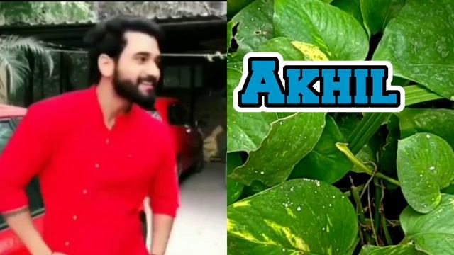 Biggboss 4 today Nominations List|Biggboss 4 Telugu 13th Week Elimination|Biggboss 4 today promo|BB смотреть онлайн