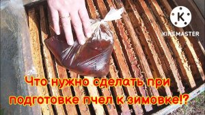 Что нужно сделать при подготовке пчёл к зимовке!?
