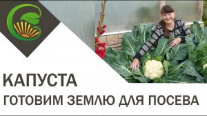 Готовим землю для посева капусты