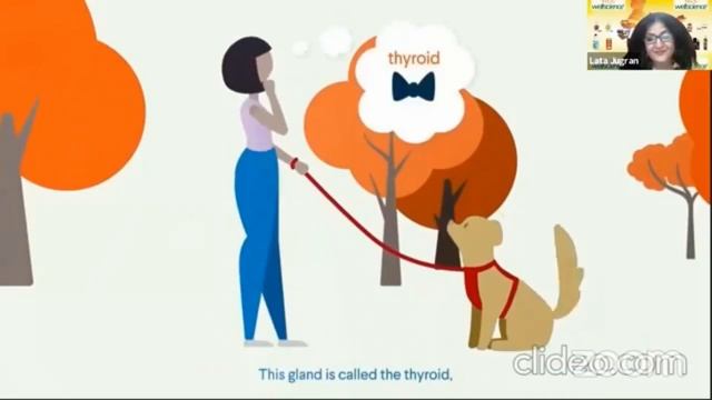 Last Chance 30-35% Today | Thyrocare By VLCC Wellscience | Thyroid | Ayurveda | Strong Formulation смотреть онлайн