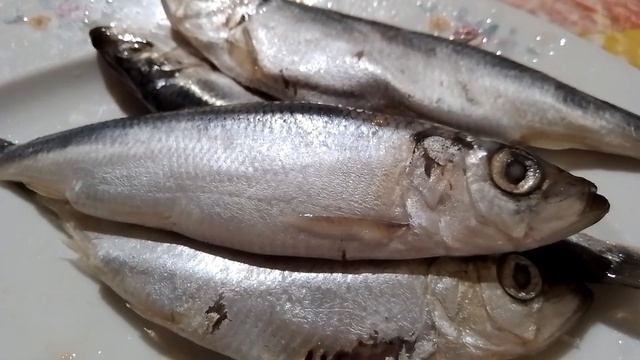 Оттепель, гололёд, сосульки. Картошечка с салакой #11февраля #2024год #-1° #гололед #оттепель #холо