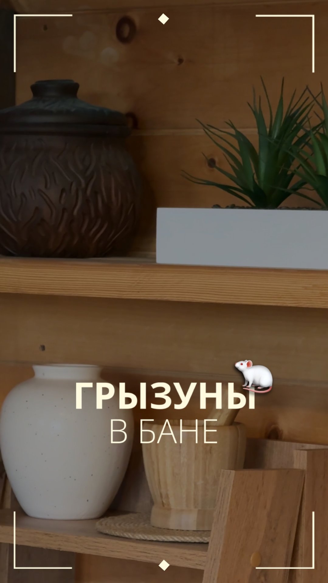 Можете не беспокоиться за свое строение 😉 смотреть онлайн