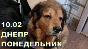 ПОНЕДЕЛЬНИК 🙃🙃10.02 ДНЕПР 🙃🙃