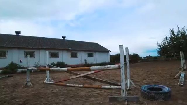 242 смотреть онлайн