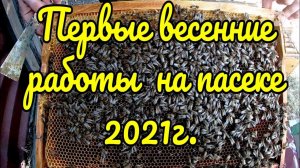 Первые весенние работы на пасеке в 2021 году. Осмотр пчелопакетов, мёда практически нет((