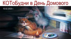 Домовой и Кот - друзья очень много лет или КОТоБудни от 10.02.2025г.
