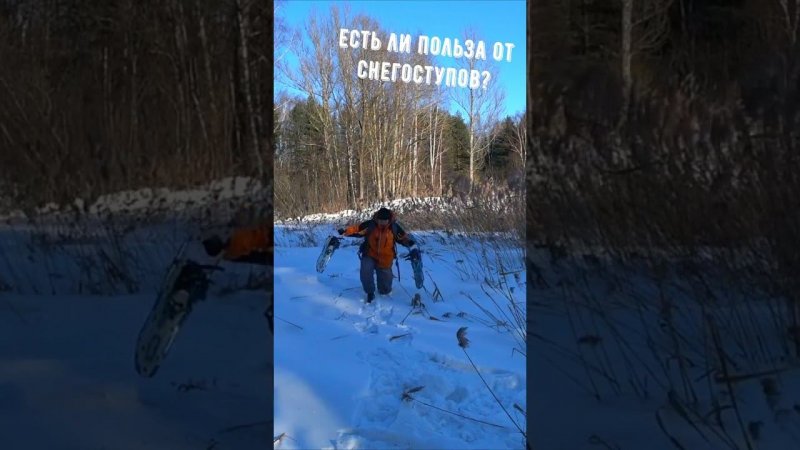 Есть ли польза от использования снегоступов?