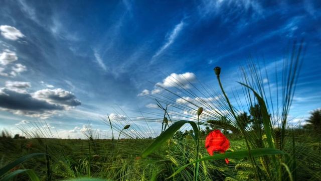 Майндфулнесс