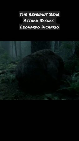 The Revenant Bear Attack Scene Leonardo Dicaprio #shorts #therevenant #leonardodicaprio