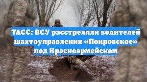 ТАСС: ВСУ расстреляли водителей шахтоуправления «Покровское» под Красноармейском