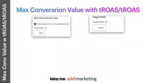 Bidding strategies for Performance Max and Shopping Campaigns / 2023 Guide