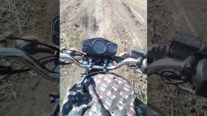 Охота с мр 512 добыл ондатру, ловля на спининг #1