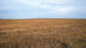 М Лермонтов  Монолог #стихиожизни#лирика19века