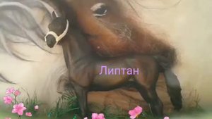Вся моя коллекция фигурок лошадей!🐴🐎🏇