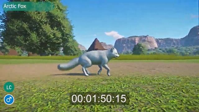 Fox Speed Races in Planet Zoo Fennec Fox vs Arctic Fox Copy 3 смотреть онлайн