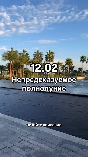 12.02 Непредсказуемое полнолуние. Читайте описание