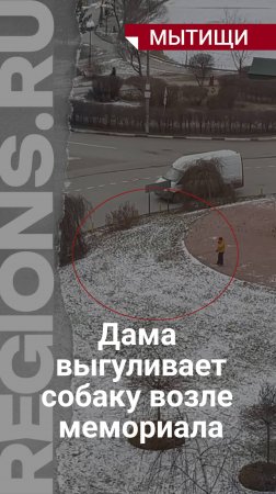 А как вы думаете - нормально выгуливать собак у мемориалов