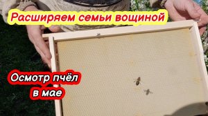 Расширение пчел вощиной! Осмотр пчёл в мае!