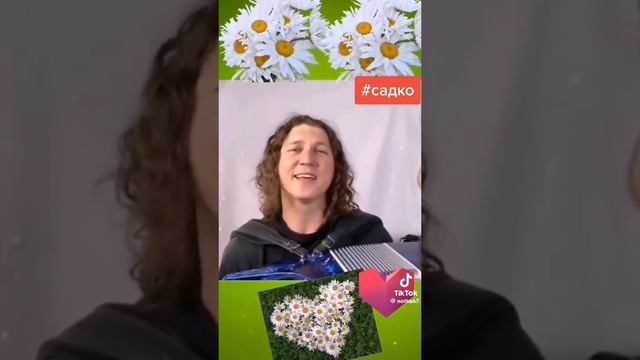 Александр Бардин ромашки для наташки смотреть онлайн