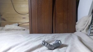 Годзилла и трансформеры стоп моушон