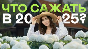 РОСКОШНЫЙ МИКСБОРДЕР своими руками. Легко и просто!