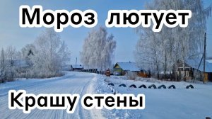 Мороз лютует❄️ Крашу стены