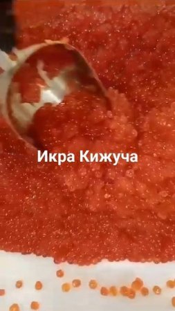 икра Кижуча