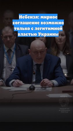 Небензя: мирное соглашение возможно только с легитимной властью Украины