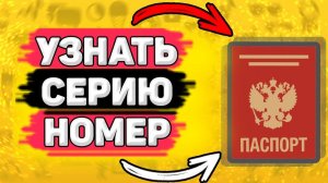 Как Посмотреть Серию и Номер Паспорта РФ. Где узнать серию и номер паспорта рф.