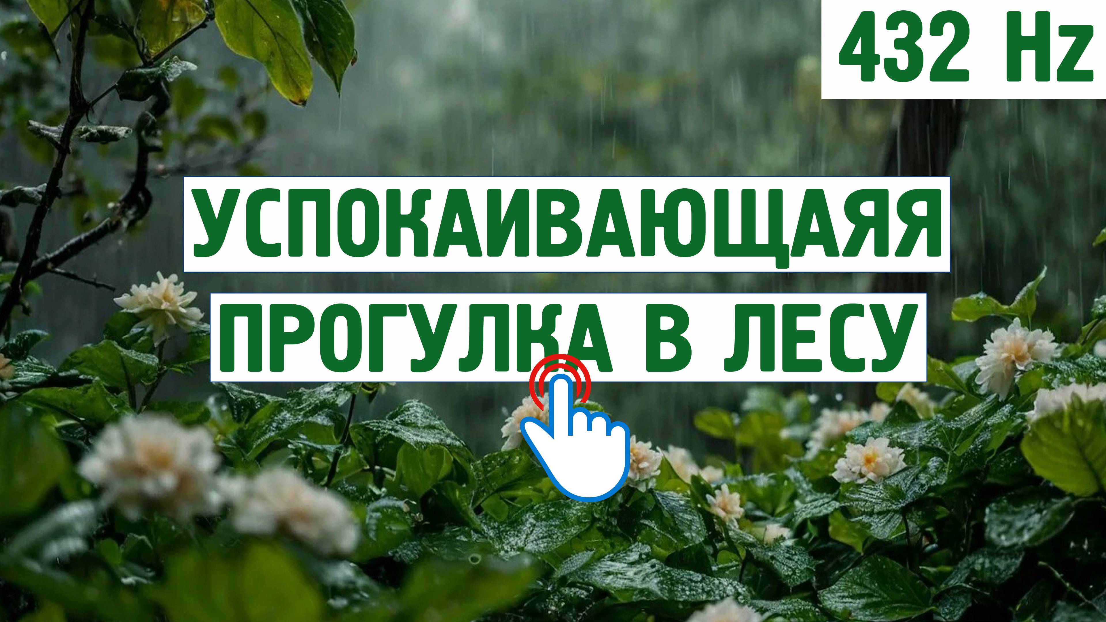 Успокаивающая прогулка в лесу (432 Hz) \ Звуки для отдых, расслабления,для сна,шум моря,пение птиц