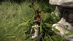 Risen 3: Titan Lords. СУМРАЧНОЕ ПЛАМЯ. Прохождение от SAFa