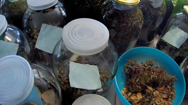 Эра Водолея о целебных травах смотреть онлайн